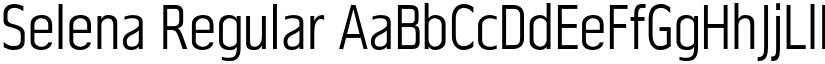 Selena Regular font