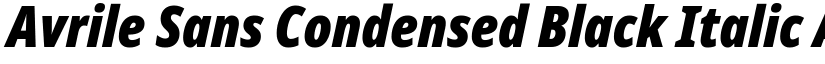 Avrile Sans Condensed Black Italic font