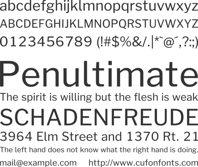 Morrison font preview