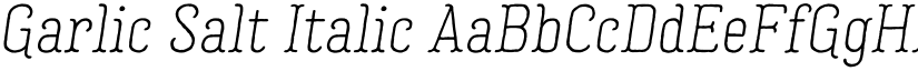 Garlic Salt Italic font
