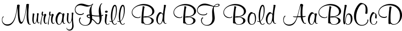 MurrayHill Bd BT Bold font