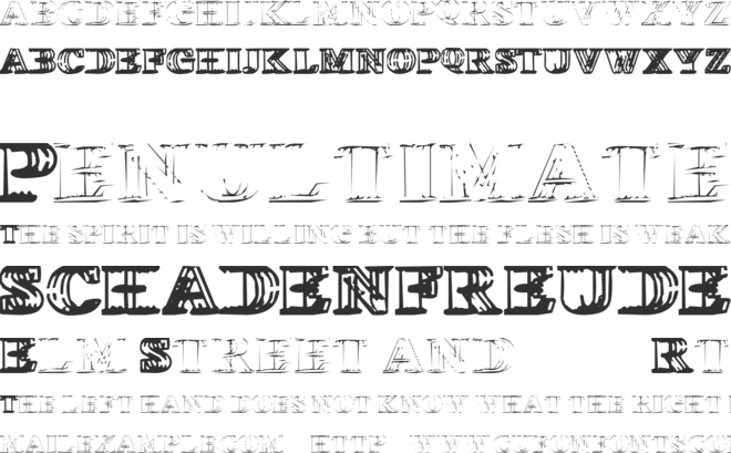 Wireframe Davenport font preview