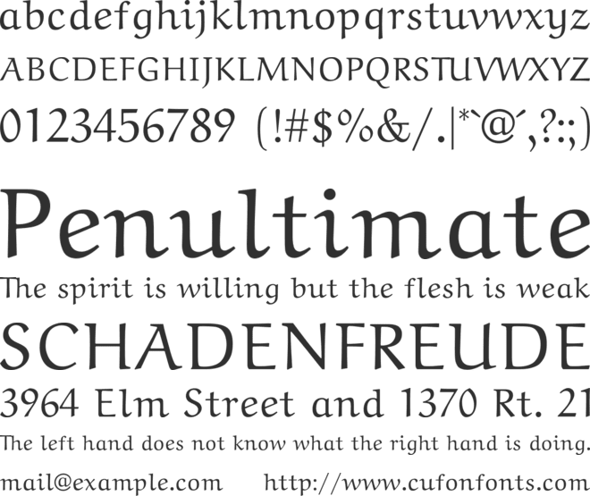 Neo Euler font preview