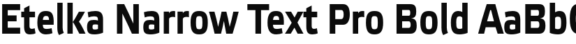 Etelka Narrow Text Pro Bold font