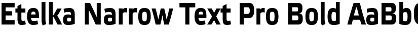 Etelka Narrow Text Pro Bold font