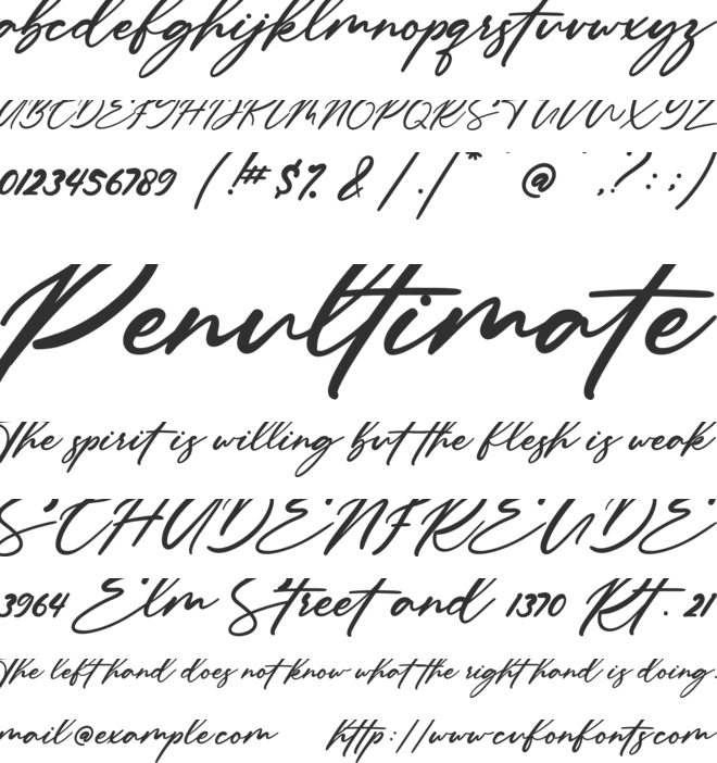 Anitto font preview