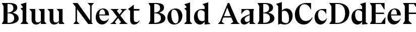 Bluu Next Bold font