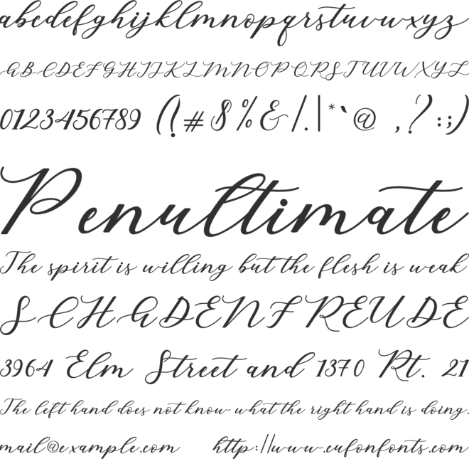 Cintya Script font preview