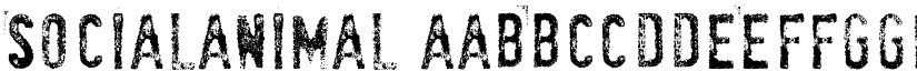 SociaL AnimaL font download