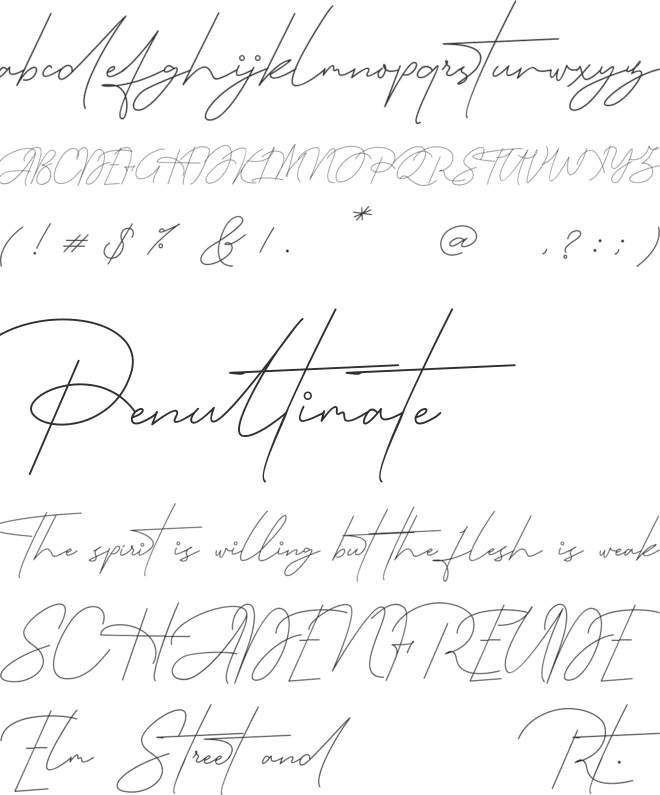 Queenstown Signature font preview