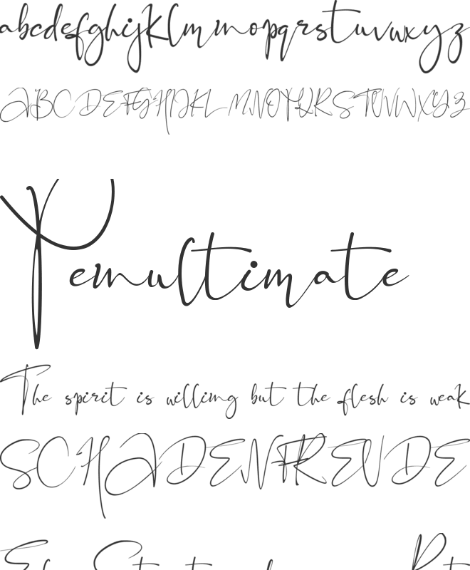 Black Pink Signature font preview