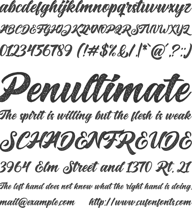 Big Blue Rough font preview