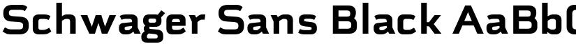 Schwager Sans Black font