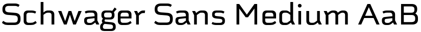 Schwager Sans Medium font