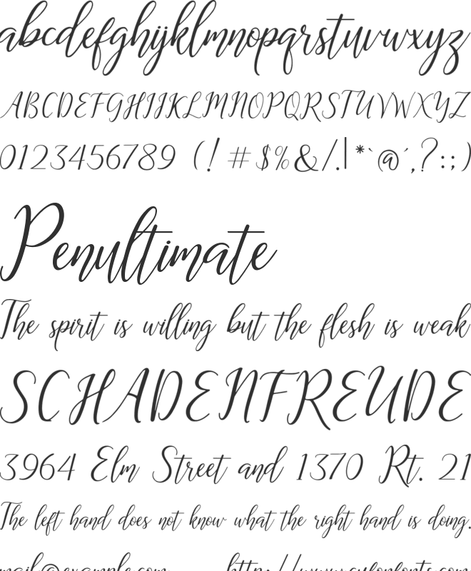 The Dance Signature font preview
