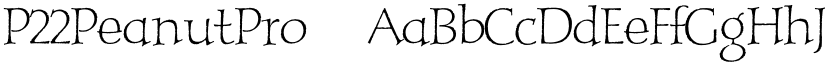 P22PeanutPro ☞ font