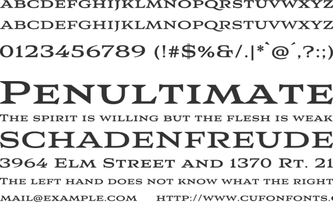 AvianoWedge-Bl font preview