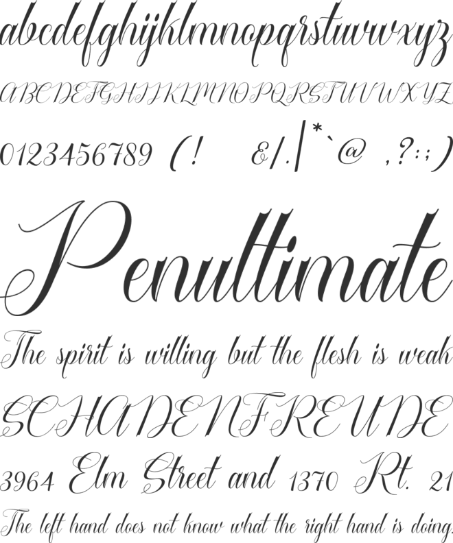 Cataline Script font preview