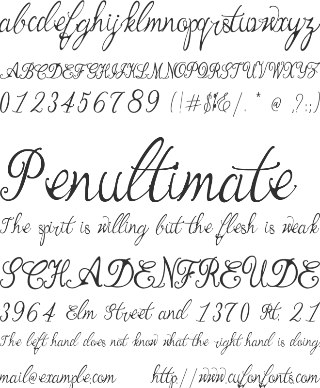 Bernadine Script font preview