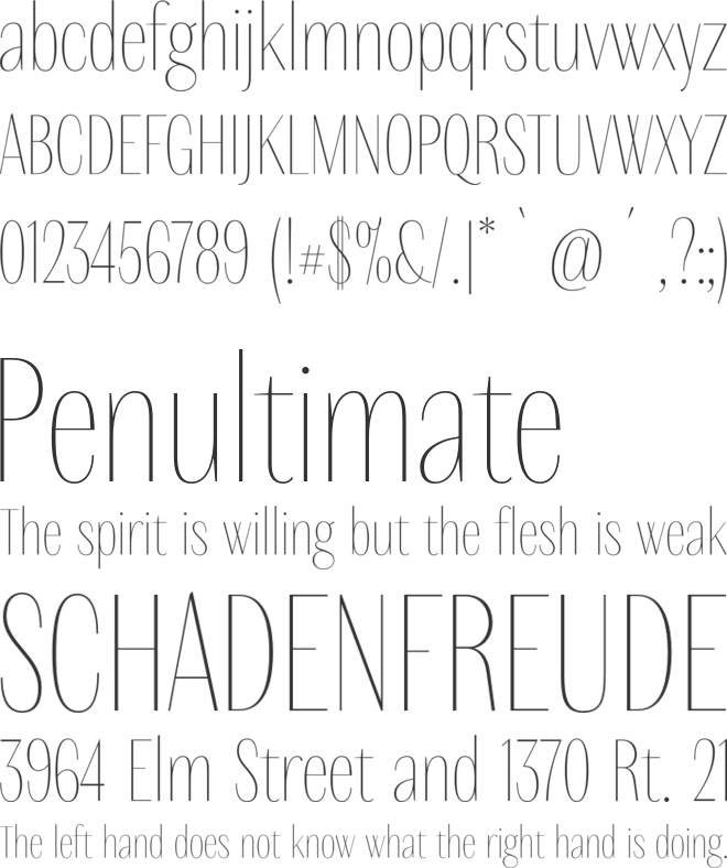 DelgadoSans font preview