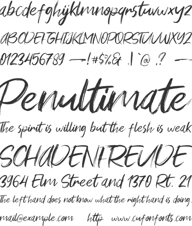 Young Vigor font preview