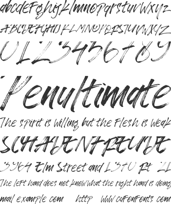 Zingakon font preview