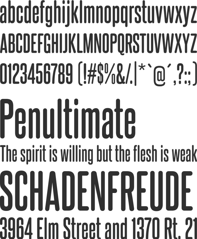 Steelfish Rounded font preview