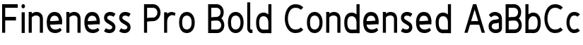 Fineness Pro Bold Condensed font