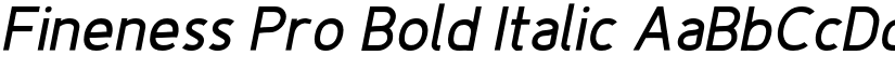 Fineness Pro Bold Italic font