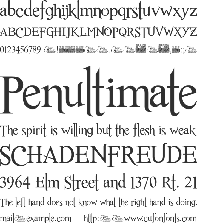 Timed font preview