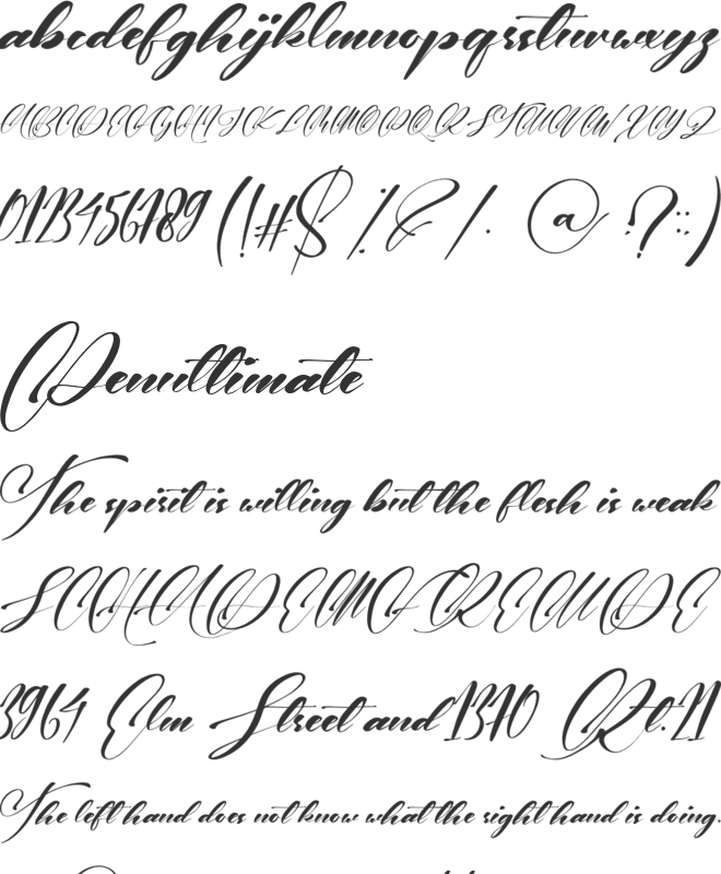 Wedding Party font preview