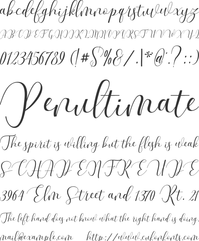 Dellima font preview