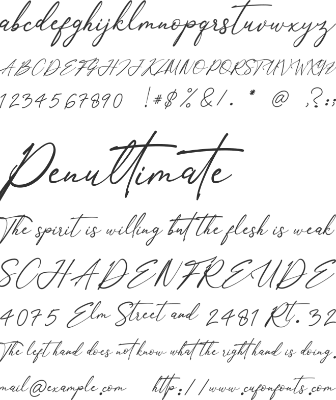 William Morittan font preview
