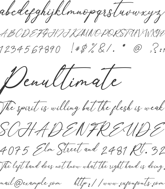 William Morittan font preview