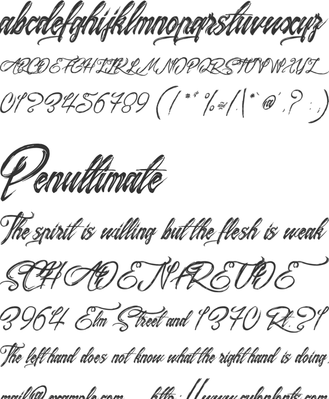 Surfing & Kiteboarding font preview