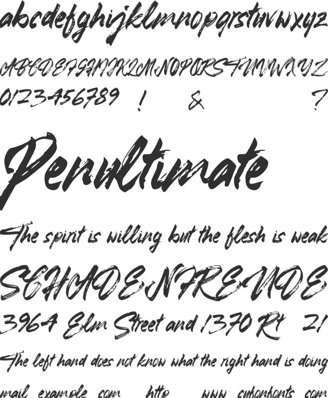 Youth Brush Daylight font preview