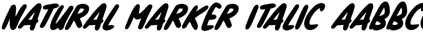 Natural Marker Italic font