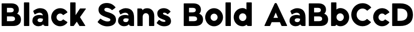 Black Sans Bold font