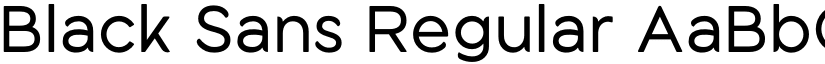 Black Sans Regular font