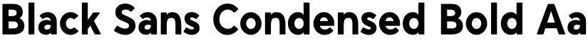 Black Sans Condensed Bold font