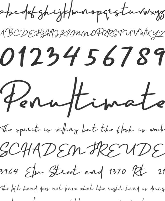 Portraits font preview