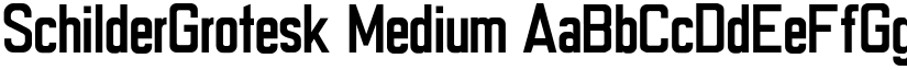 SchilderGrotesk Medium font