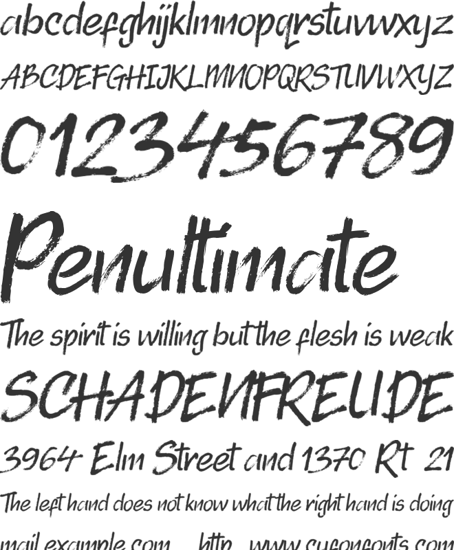 Randy Bistroke font preview