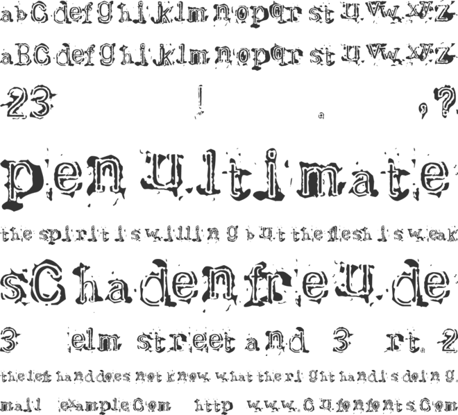 Bracille font preview