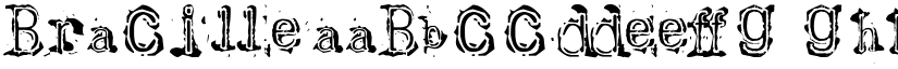 Bracille font download