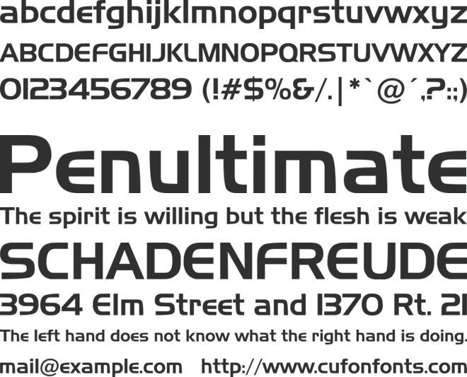 Newtown font preview
