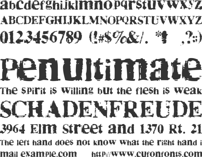 Times No Roman font preview