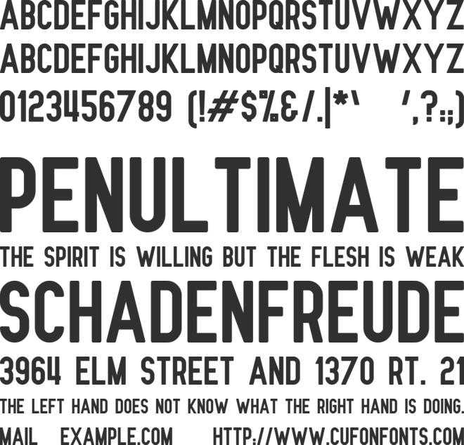 Nue Gothic Round font preview