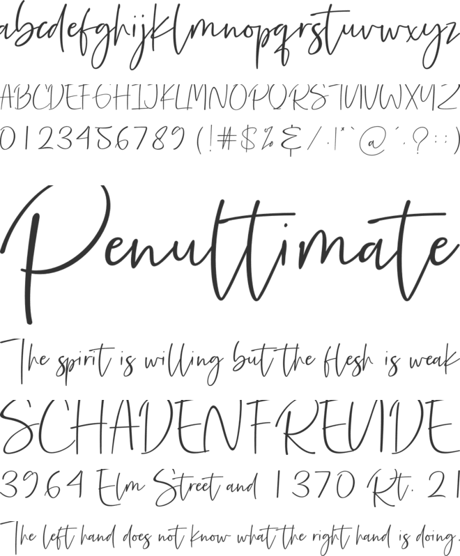 Precious Soul font preview