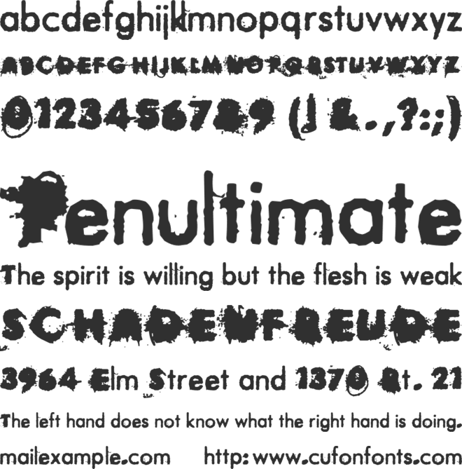 City Contrasts font preview